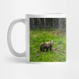 Grizzly Bear Mug